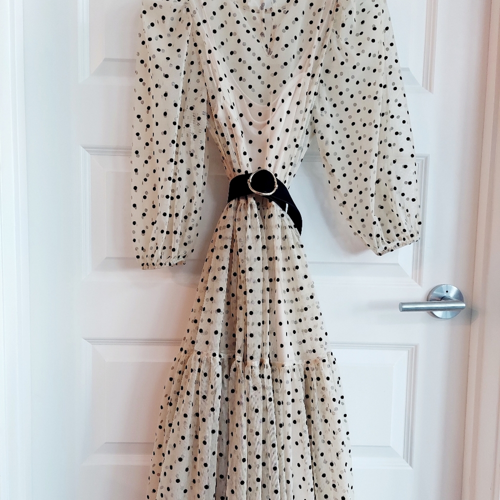 H&M sheer mesh polka dot dress with slip.